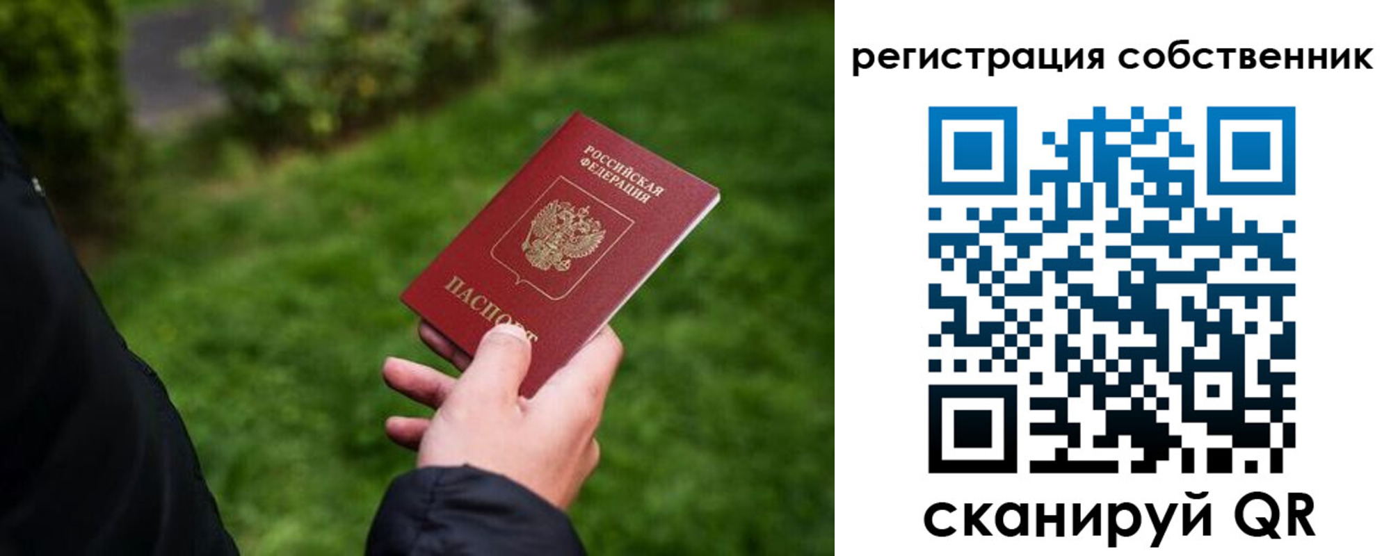 временная регистрация недорого в Сольцах